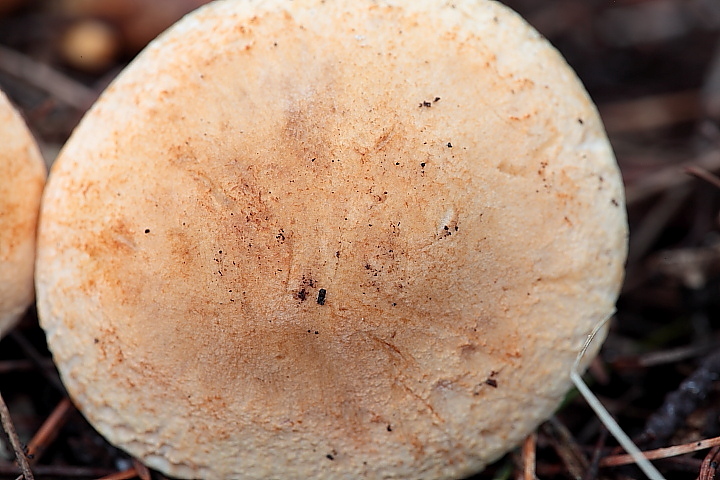 Ritrovamenti di oggi